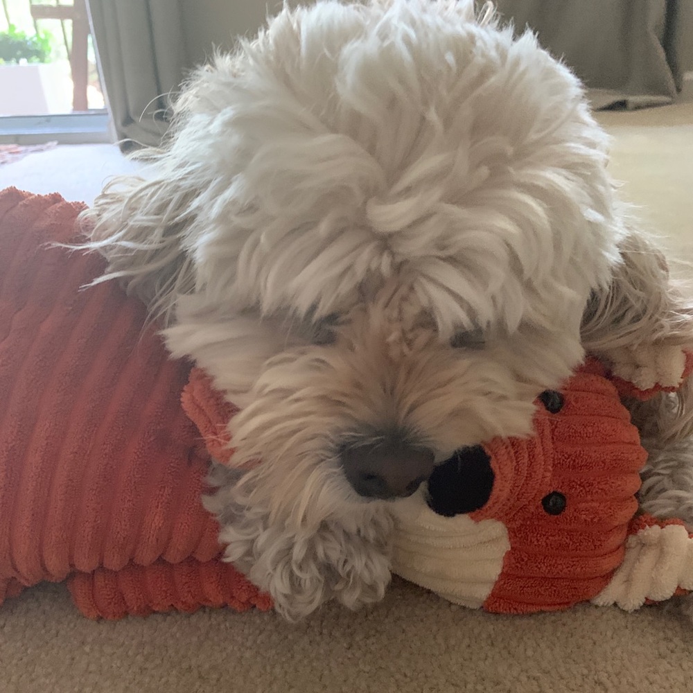 Meet your Posher, Muge